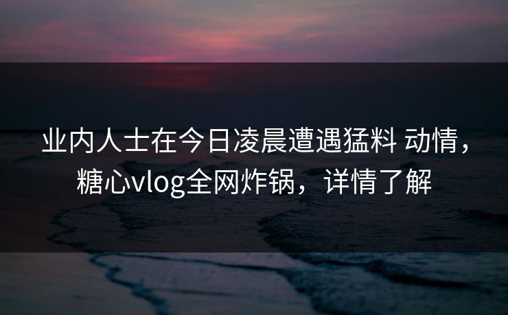 业内人士在今日凌晨遭遇猛料 动情，糖心vlog全网炸锅，详情了解  第1张