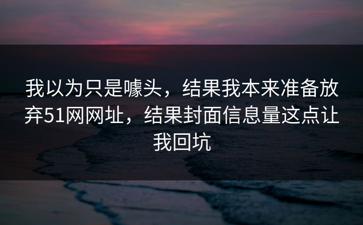 我以为只是噱头，结果我本来准备放弃51网网址，结果封面信息量这点让我回坑